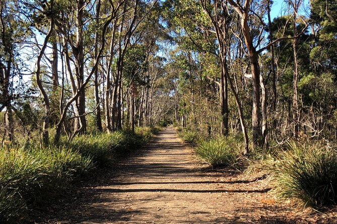 Hobart: Bruny Island Adventure: Hiking, Highlights & Local tastes - Lunch breaks and how to plan your energy