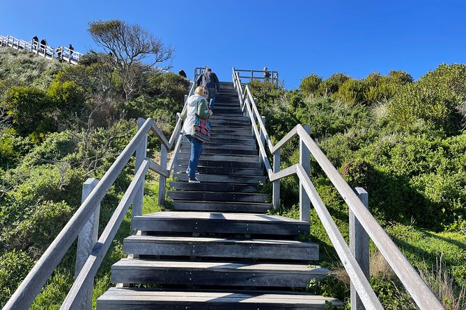 Hobart: Bruny Island Adventure: Hiking, Highlights & Local tastes - Getting to Kettering and catching the ferry on your schedule