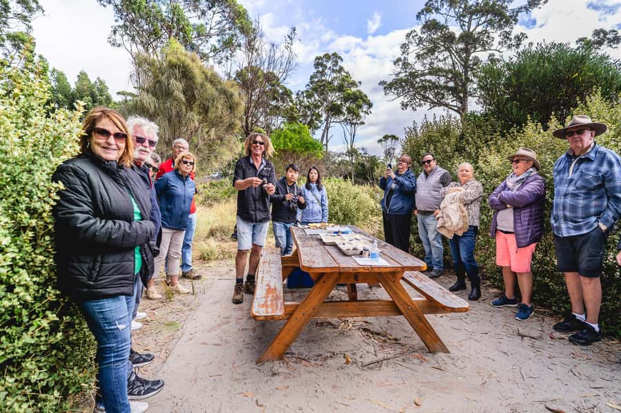 Hobart: Bruny Island Food, Sightseeing & Lighthouse Day Tour - Beach morning tea: oysters and cheese on white sand