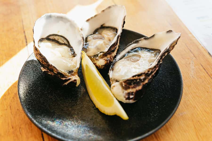 Hobart: Bruny Island Gourmet Sightseeing Day Tour - Pennicott’s Beachside Lunch on Adventure Bay: Oysters, Views, and Two Drinks