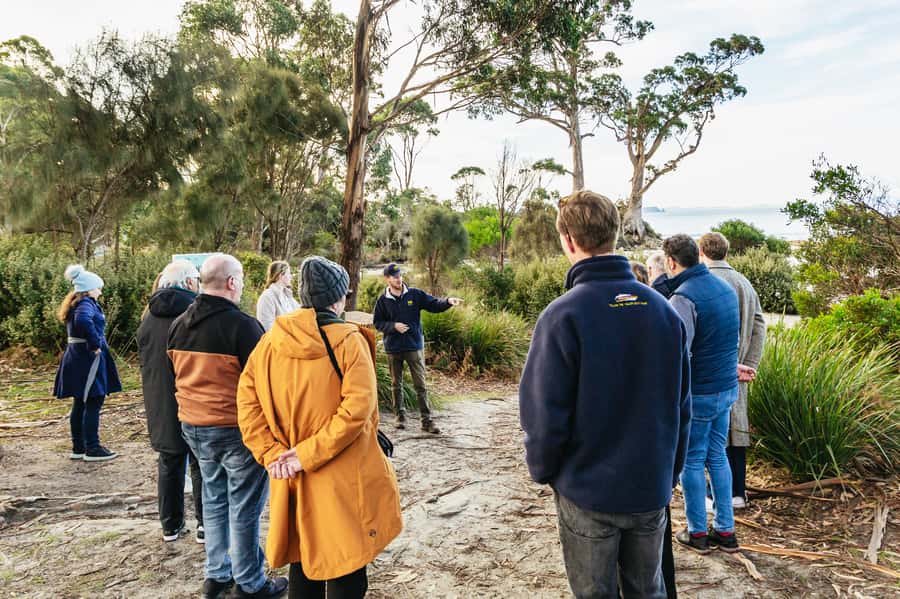 Hobart: Bruny Island Gourmet Sightseeing Day Tour - HIBA Private Gardens: Fudge, Honey, Mead, and a Quiet Place to Slow Down