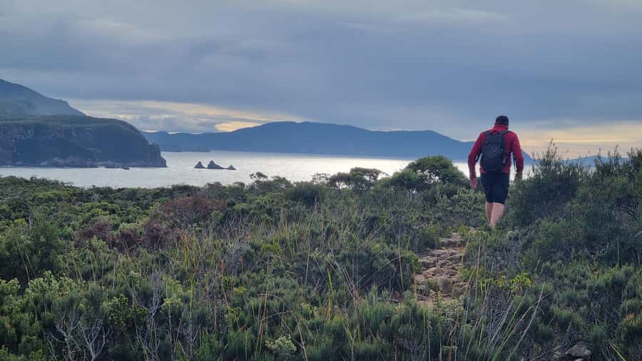 Hobart: Cape Hauy Hike - Bangor Vineyard Shed: the calm finish with a wine