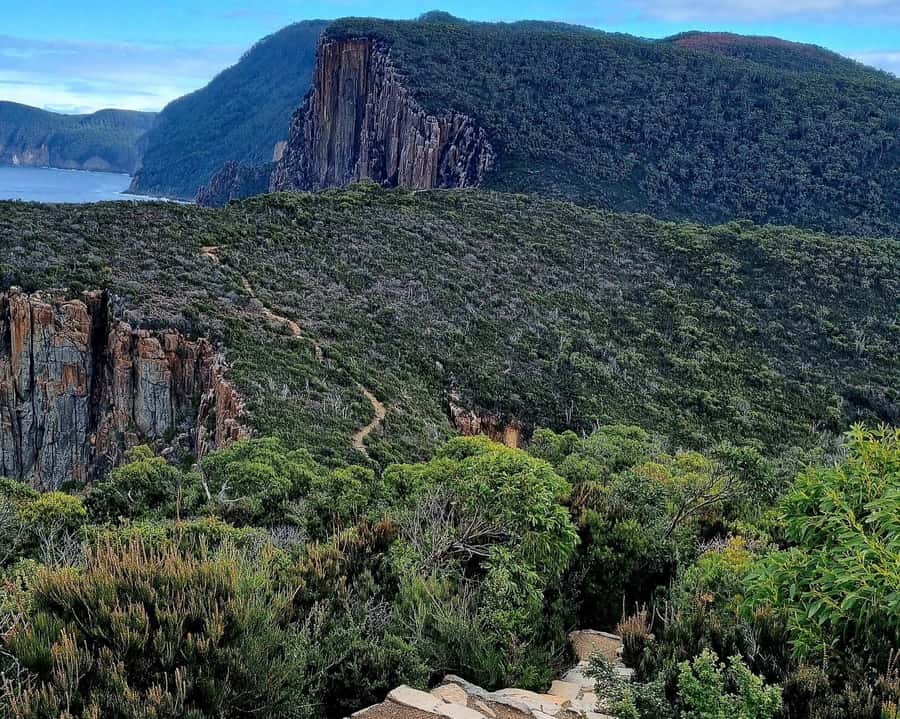 Hobart: Cape Hauy Hike - Price and value: why $110 can be fair for an iconic day