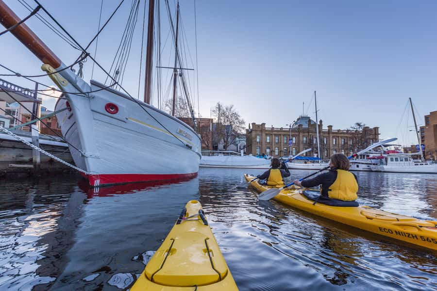 Hobart City 2.5-Hour Kayak Tour - Fish and Chips From Your Kayak: The Snack That Makes the Tour Feel Like an Event