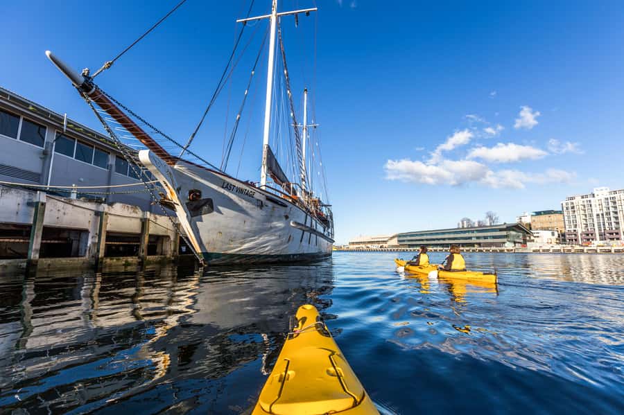 Hobart City 2.5-Hour Kayak Tour - What to Bring and What’s Already Included