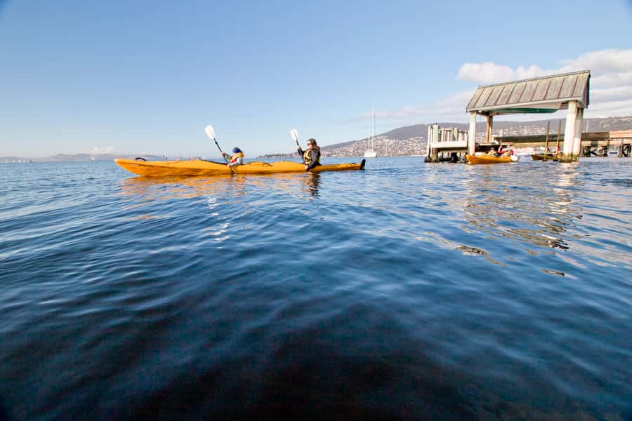 Hobart City 2.5-Hour Kayak Tour - Price and Value: Is $84 Worth It?