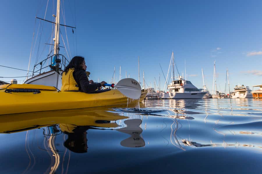 Hobart City 2.5-Hour Kayak Tour - Should You Book This Kayak Tour?
