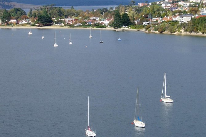 Hobart City Flight Including Mt Wellington and Derwent River - Cambridge Airport to the Hobart Skyline: Your First Aerial Minutes