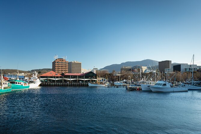 Hobart City Sightseeing Tour including MONA Admission - Key things I’d watch for on this Hobart + MONA day
