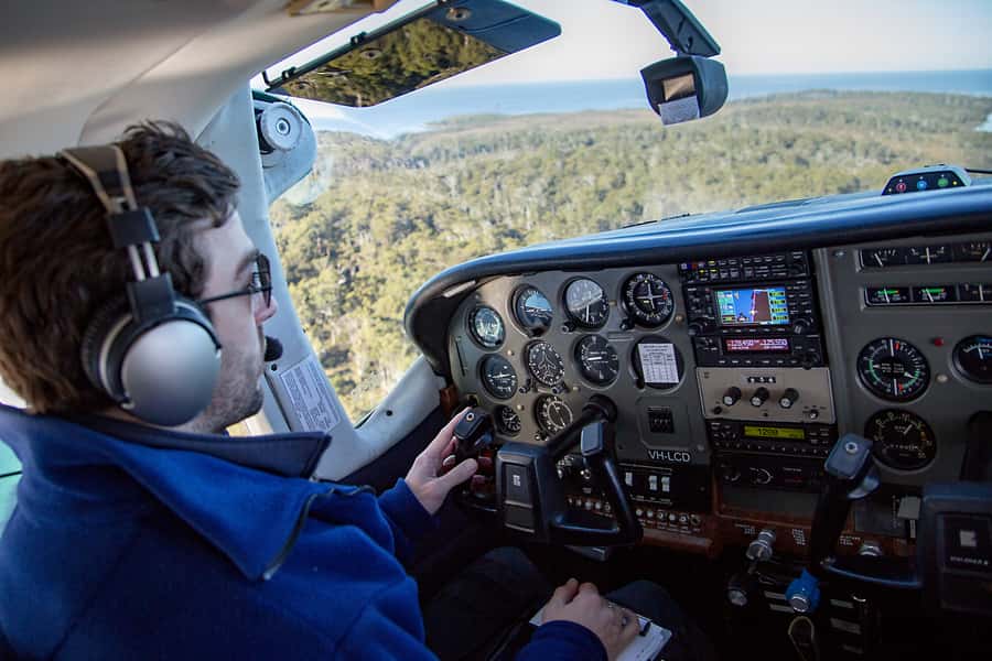 Hobart: Fly & Cruise in Southwest Wilderness Area with Lunch - Key highlights you’ll feel from minute one