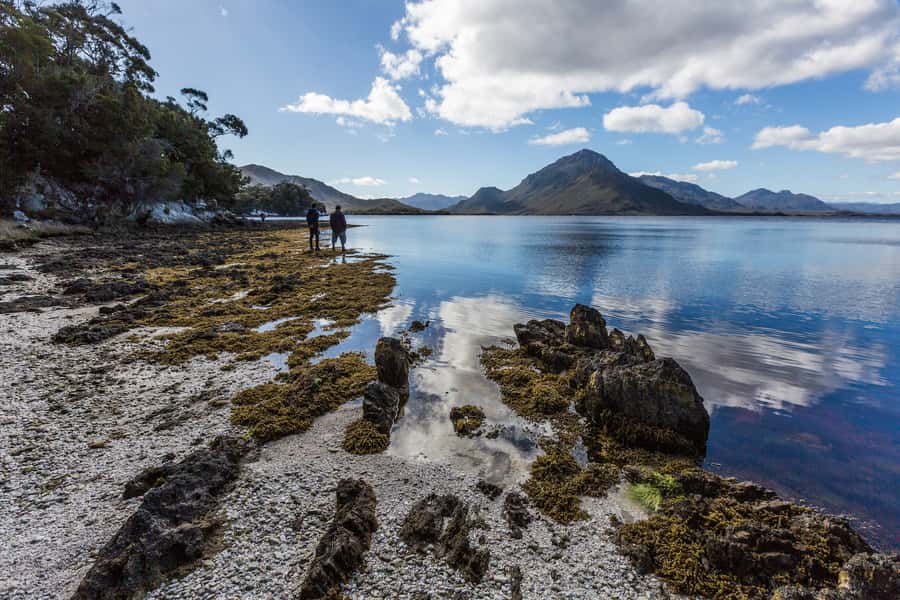 Hobart: Fly & Cruise in Southwest Wilderness Area with Lunch - Deny King Bird Hide and Needwonnee Aboriginal Walk