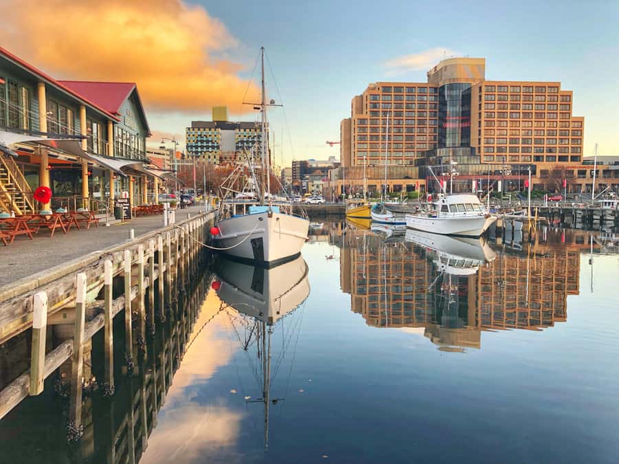 Hobart: Full-Day Bonorong Wildlife Sanctuary & Richmond Tour - From Brooke Street Pier to Hobart’s Morning Landmarks