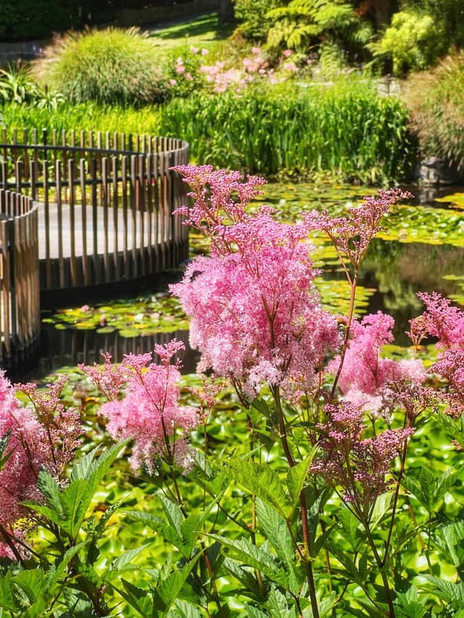 Hobart: Full-Day Bonorong Wildlife Sanctuary & Richmond Tour - Royal Tasmanian Botanical Gardens: where the pace can feel sporty