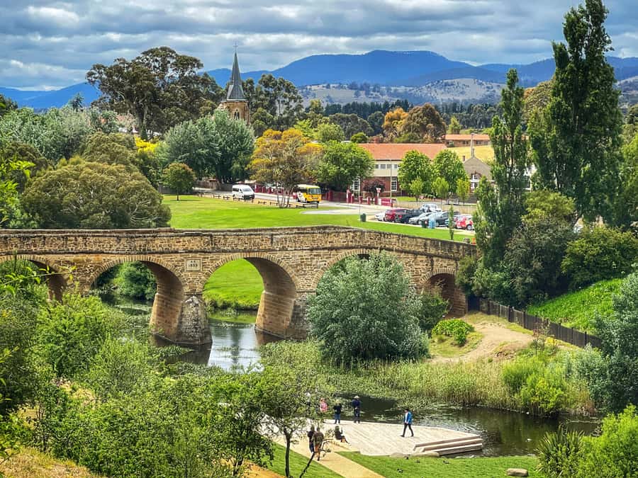 Hobart: Full-Day Bonorong Wildlife Sanctuary & Richmond Tour - Rosny Hill lookout and Hobart’s skyline story
