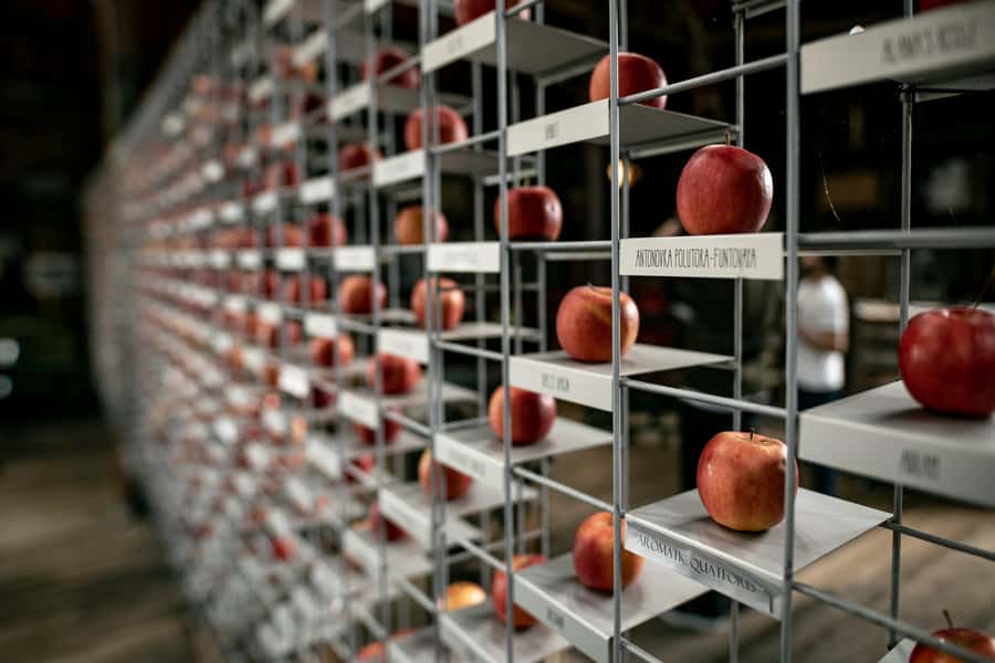 Hobart: Hastings Cave, Tahune Airwalk and Huon Tasting Trail - Key highlights worth planning for