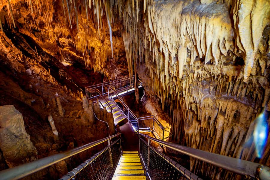 Hobart: Hastings Cave, Tahune Airwalk and Huon Tasting Trail - Huon Valley to Deep South: why this day feels different