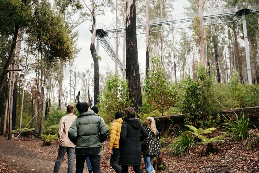 Hobart: Hastings Cave, Tahune Airwalk and Huon Tasting Trail - Getting picked up in Hobart (and staying comfortable for 10 hours)