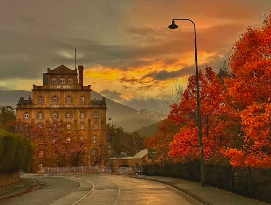 Hobart Highlights Day Tour - How long you’ll be at each moment (and why the pacing matters)