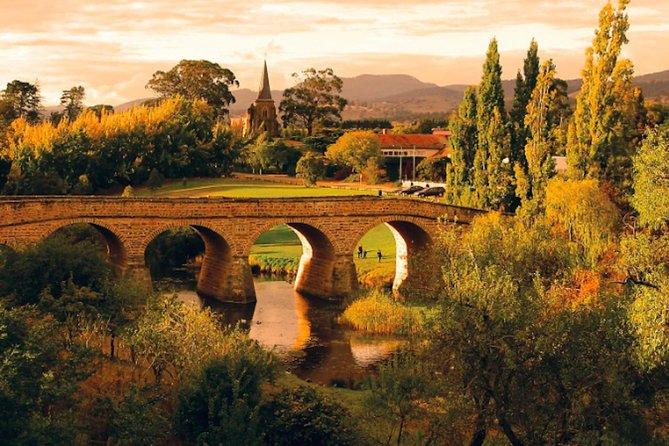 Hobart Highlights Day Tour - Bonorong Wildlife Sanctuary for kangaroos and Tassie Devil odds