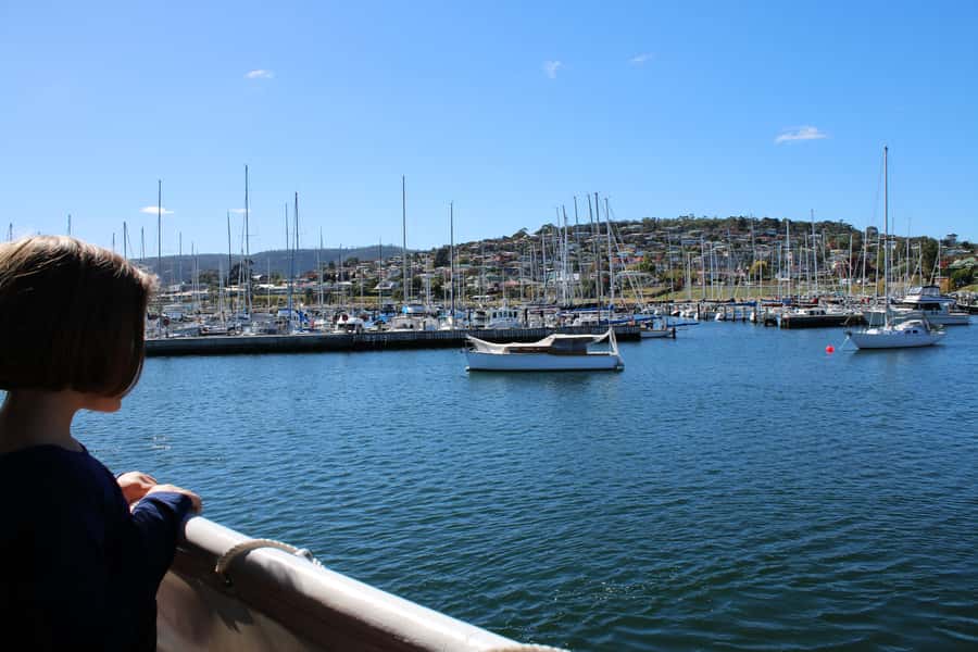 Hobart: Historic Lunch Cruise - Lunch onboard: one-course comfort with real options