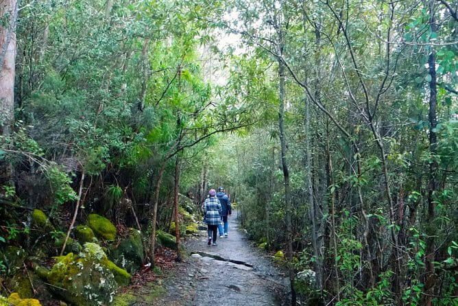 Hobart Hop-On Hop-Off Bus & kunanyi/Mt Wellington Tour - Should You Book the Hobart Hop-On Hop-Off + Mt Wellington Combo?