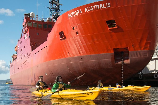 Hobart Kayak Tour - Lunch on the water: the fish and chips factor (and why it works)