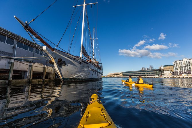 Hobart Kayak Tour - Price and logistics: is $179 good value for Hobart kayaking?