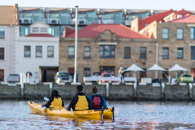 Hobart Kayak Tour - Who should book this kayaking tour, and who might skip it
