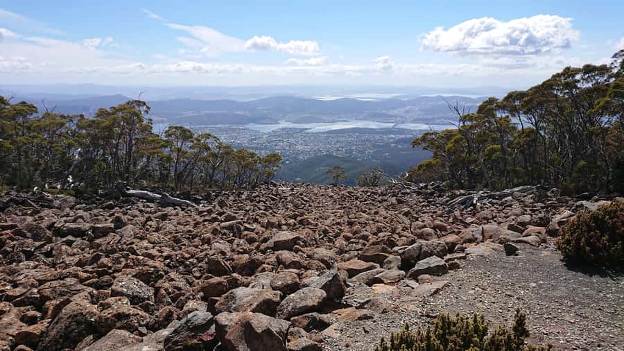 Hobart: kunanyi/Mt Wellington Explorer Bus Pass - Price and value: why $35 feels fair