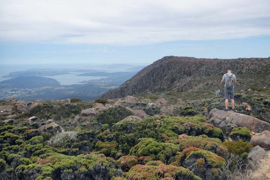 Hobart: kunanyi/Mt Wellington Explorer Bus Pass - From Brooke Street Pier to the summit in one ticket