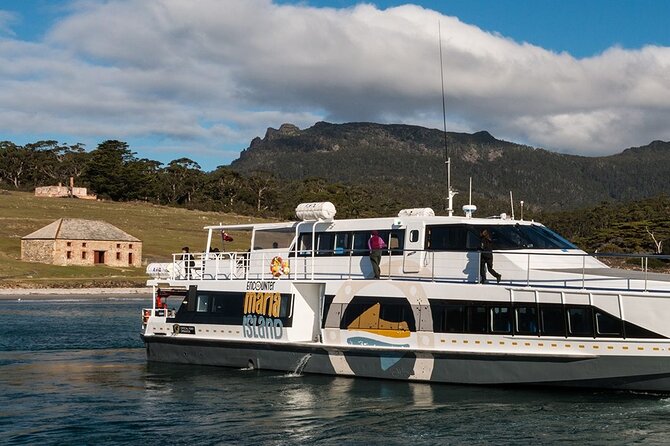 Hobart: Maria Island National Park - Nature & Wildlife Adventure - Painted Cliffs and Hopground Beach: the walk most people remember