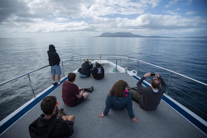 Hobart: Maria Island National Park - Nature & Wildlife Adventure - Fossil Cliffs: easy-moderate history in rock form