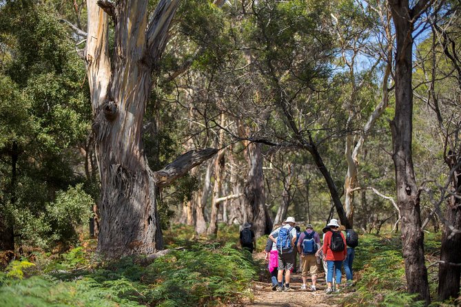 Hobart: Maria Island National Park - Nature & Wildlife Adventure - Darlington World Heritage convict site: the part that adds weight