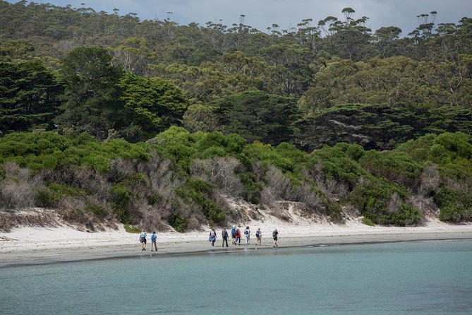 Hobart: Maria Island National Park - Nature & Wildlife Adventure - What the tour includes (and where you’ll spend your own money)