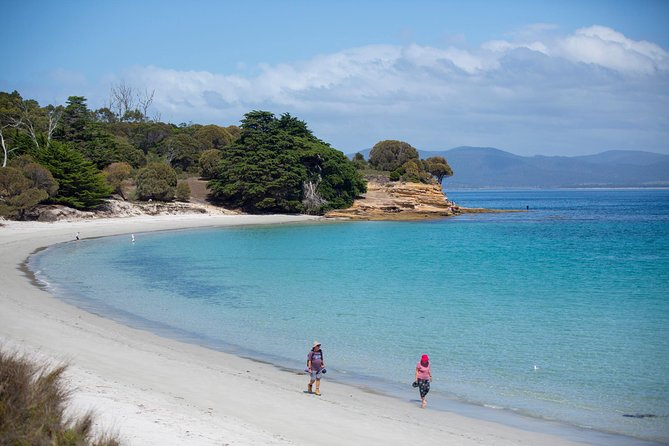 Hobart: Maria Island National Park - Nature & Wildlife Adventure - Maria Island National Park: wildlife viewing with rules (and why that matters)