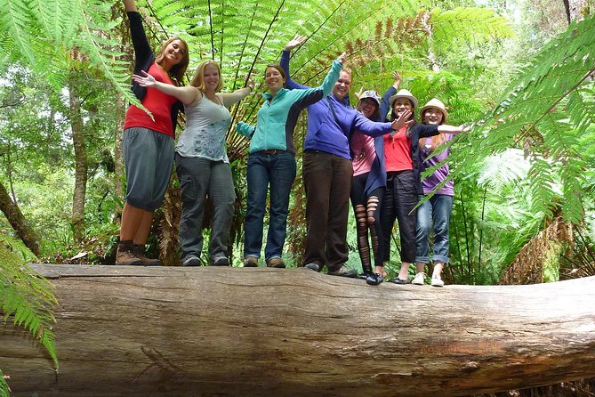 Hobart: Mt. Field, Mt Wellington & Wildlife - Active Day Tour - Mt. Field National Park: Russell Falls and the Rainforest Walk That Resets Your Day