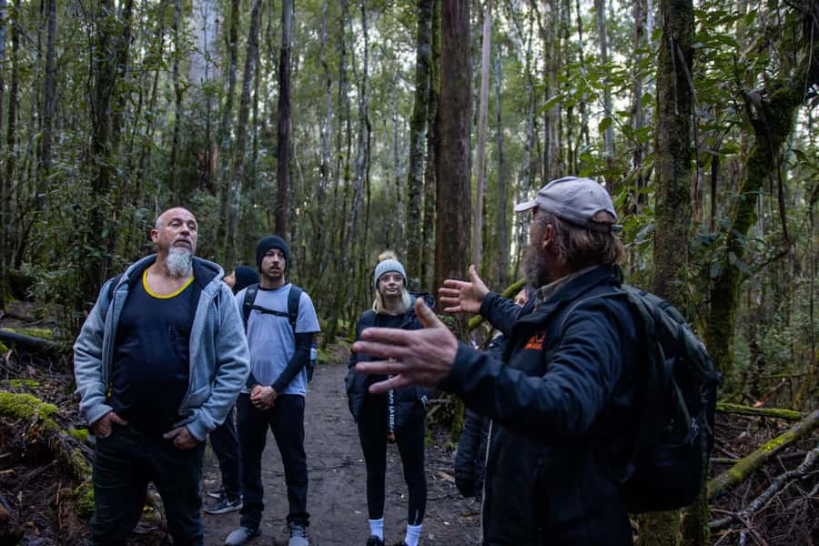 Hobart: Mt Field National Park & Wildlife Shore Excursion - Price and Value: Is $130 Fair for This Day?