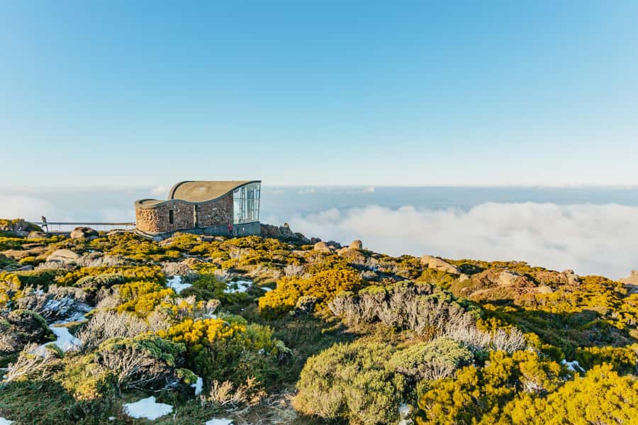Hobart: Mt Wellington, Mt Field, Bonorong and Richmond Trip - Pickup timing: plan for an early start in Hobart