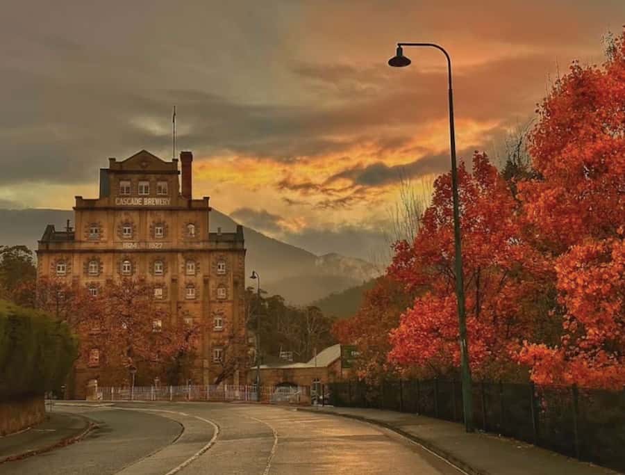 Hobart: nipaluna Half-Day Highlights Tour - Price and value: what $70 covers, and what to budget