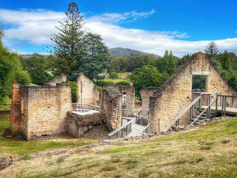 Hobart: Port Arthur, Harbor Cruise and Isle of the Dead Tour - Price and value: why $134 can make sense