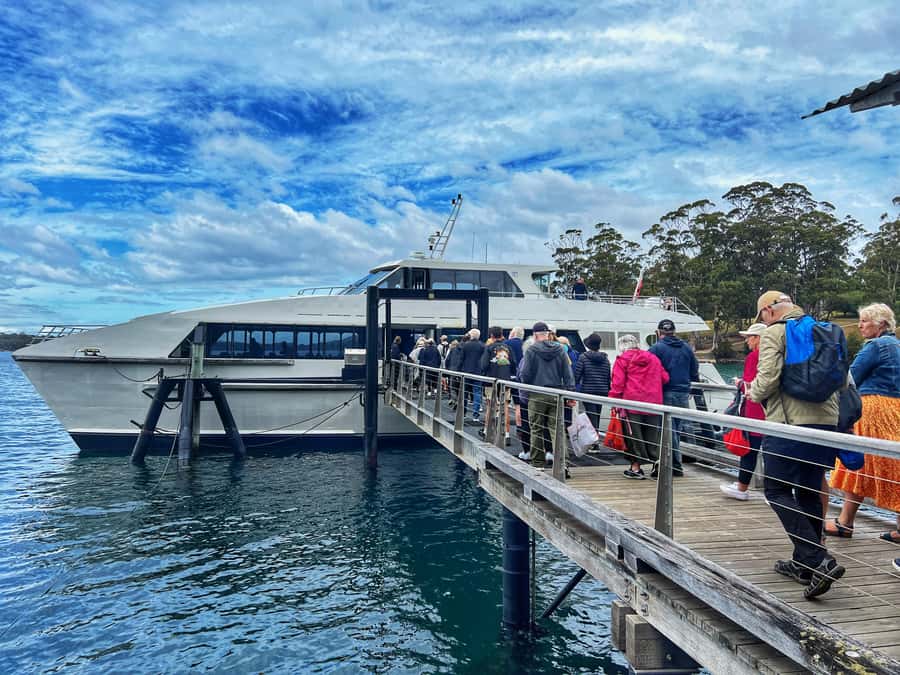 Hobart: Port Arthur & Tasman Park Full-Day Trip with Cruise - Tasman National Park stops: Tasman Arch and Pirates Bay viewpoints