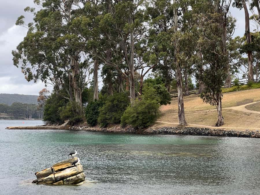 Hobart: Port Arthur & Tasman Park Full-Day Trip with Cruise - Lunch in the Port Arthur gardens: plan for a quiet reset