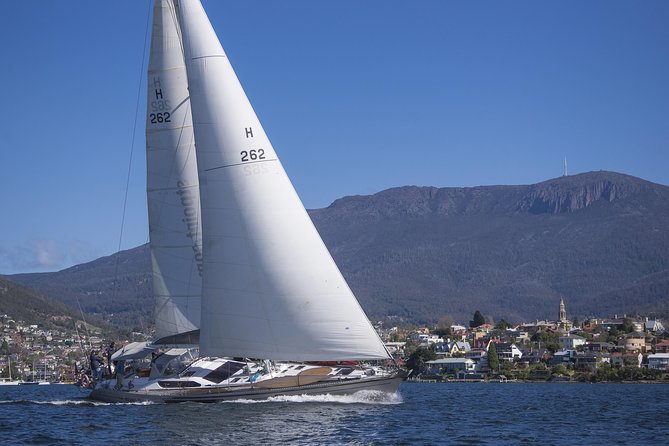 Hobart Sailing Experience - What You’ll Do Onboard: Winches, Sail Trimming, and Steering Time