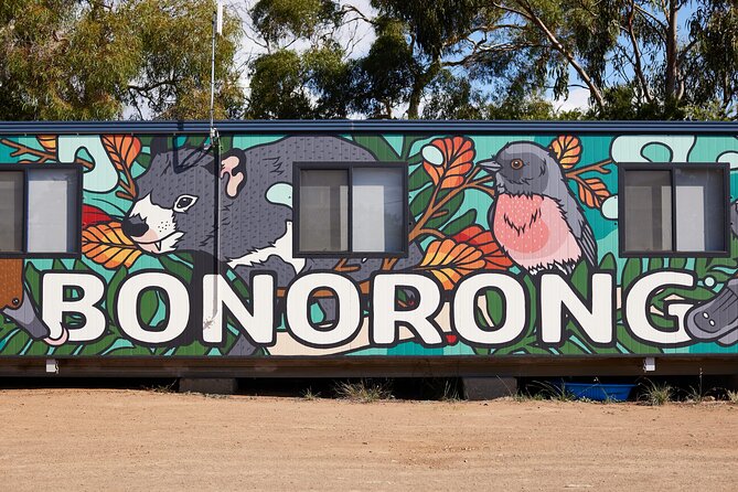 Hobart Shore Excursion: Bonorong Bus - Bonorong Sanctuary Time: What Your 90 Minutes Is For
