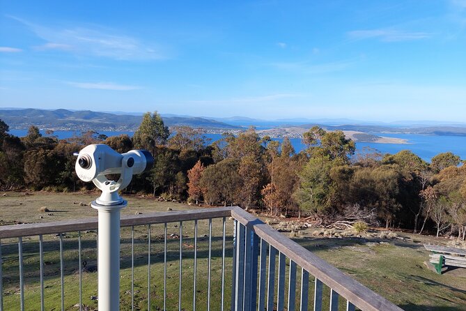Hobart Shore Excursion: Hobart Attractions Bus - Royal Tasmania Botanic Gardens: A Quick Pass That Still Adds Context