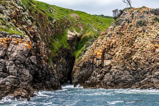 Hobart Sightseeing Cruise including Iron Pot Lighthouse - Key highlights to notice before you go