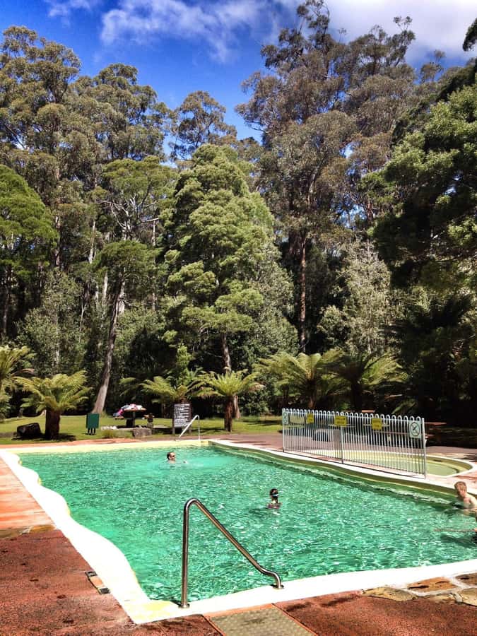 Hobart: Tahune Airwalk, Hastings Cave, Thermal Springs Tour - Why this Hobart day trip works so well