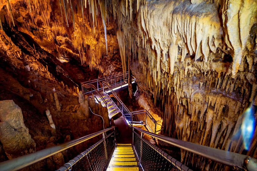 Hobart: Tahune Airwalk, Hastings Cave, Thermal Springs Tour - Tahune Airwalk: treetops, height, and that long cantilever walk