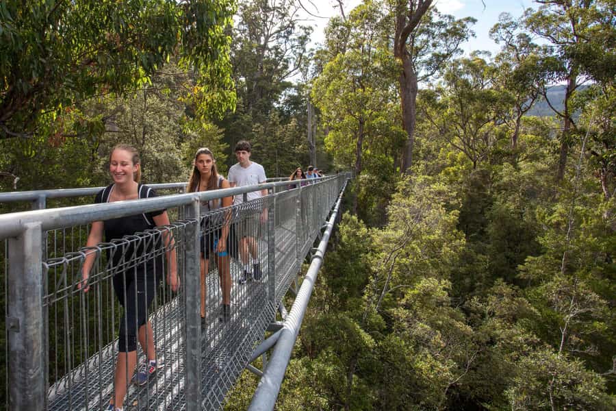 Hobart: Tahune Airwalk, Hastings Cave, Thermal Springs Tour - What to bring (so you don’t suffer during steps and cold air)