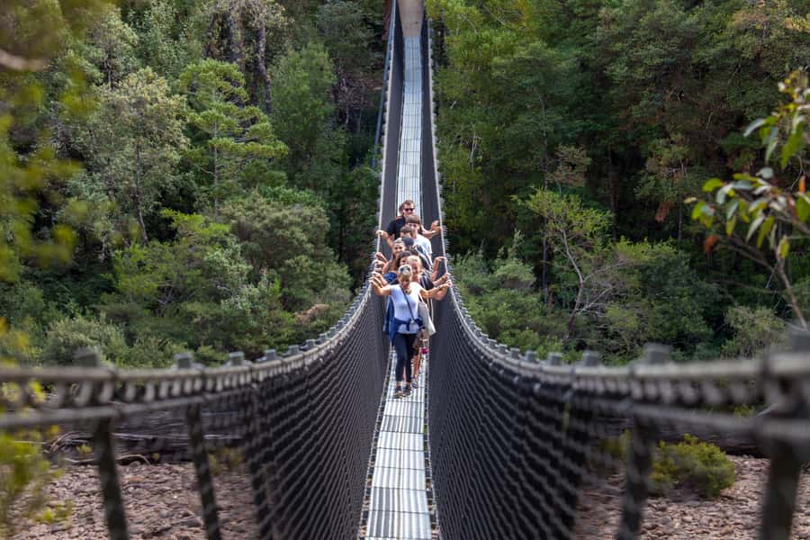 Hobart: Tahune Airwalk, Hastings Cave, Thermal Springs Tour - The early start from Hobart and the Huon Valley drive